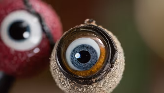Eye See You Eye See You