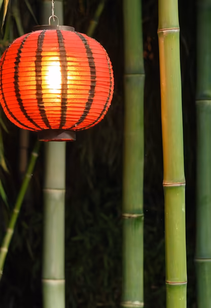 Lantern Light