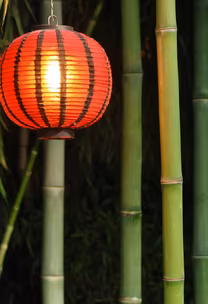 Lantern Light