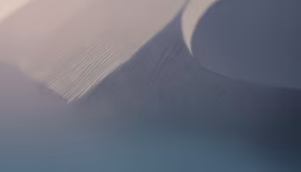 Desert Dreams