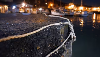 Harbor Nights