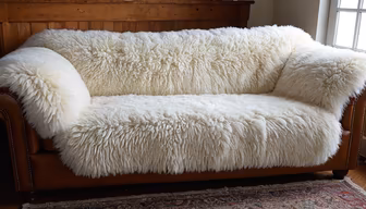 Cozy Comfort Cozy Comfort