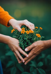 Shared Growth Shared Growth