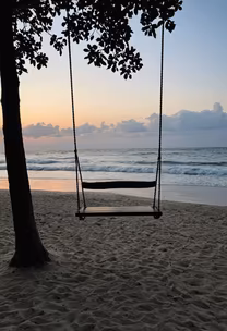 Beach Swing Beach Swing
