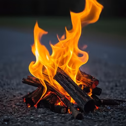 Cozy Campfire Cozy Campfire