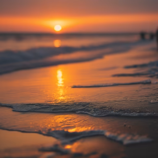 Golden Hour at the Beach