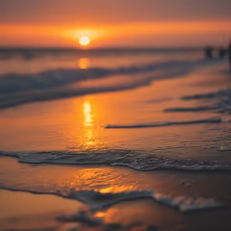 Golden Hour at the Beach Golden Hour at the Beach