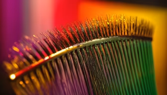 Rainbow Bristles Rainbow Bristles