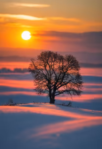 Winter's Embrace Winter's Embrace