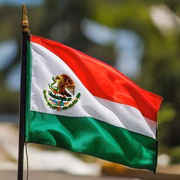 Viva Mexico