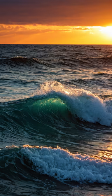 Ocean's Embrace