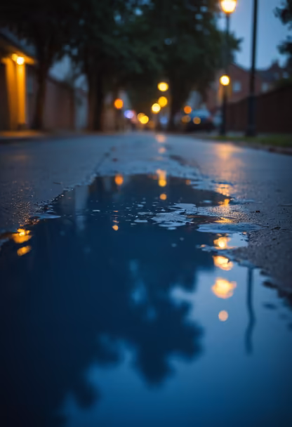 Reflections After the Rain