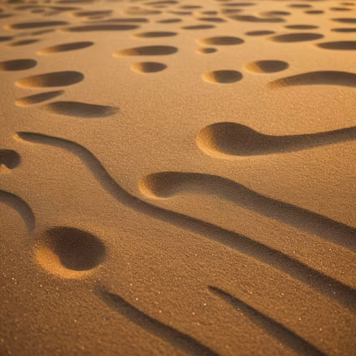 Desert Patterns