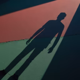 Shadow Play Shadow Play