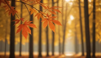 Autumnal Serenity