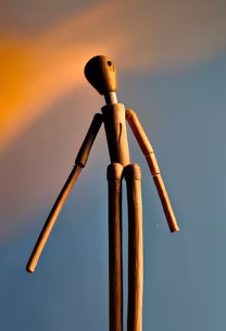 Wooden Contemplation