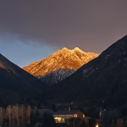 Mountain Majesty