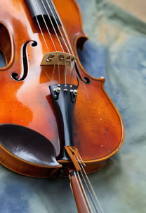 Violin Still Life Violin Still Life