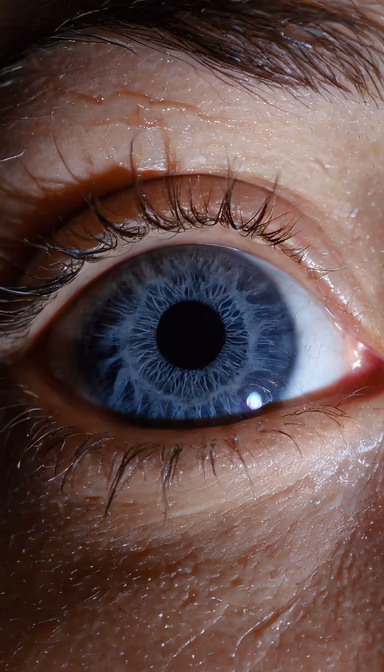 Window to the Soul