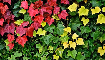 Autumn's Embrace