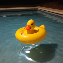 Night Swim