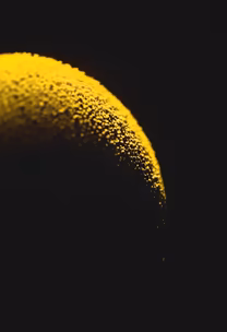 Golden Dust