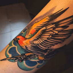 Soaring High