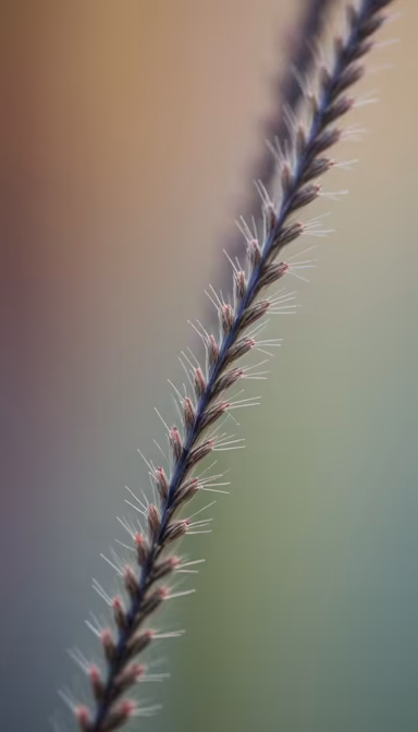 Whispers of Nature Whispers of Nature