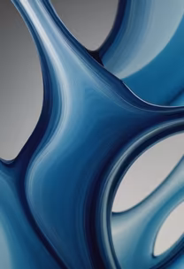 Fluidity in Form Fluidity in Form