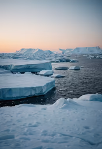 Arctic Serenity Arctic Serenity