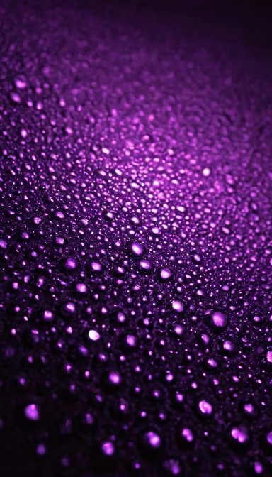Purple Rain Purple Rain