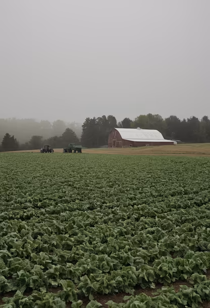 Farm Life