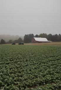 Farm Life Farm Life