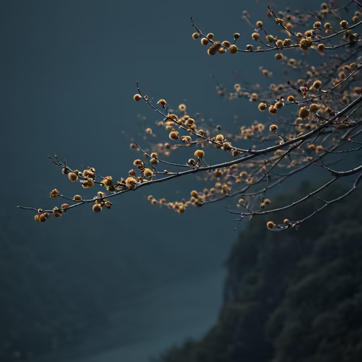 Winter Bloom