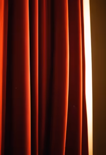 Crimson Elegance