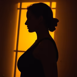 Golden Hour Silhouette Golden Hour Silhouette