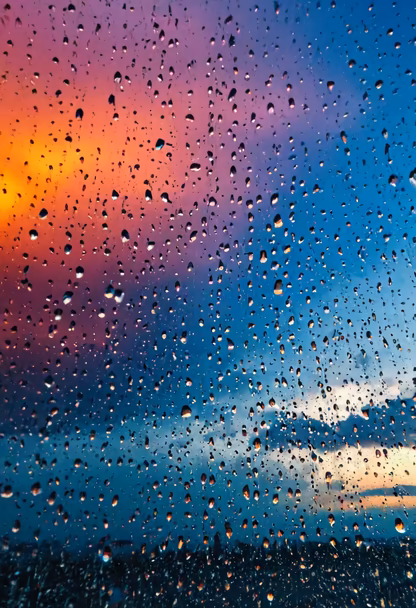 Rainy Day Dreams