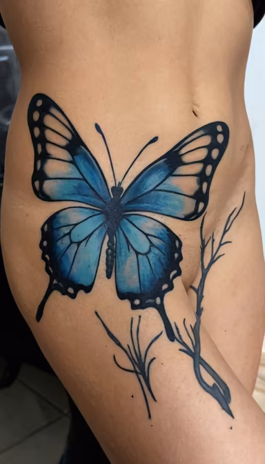 Butterfly Transformation Butterfly Transformation