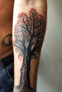 Tree of Life Tree of Life