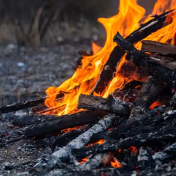 Bonfire Nights Bonfire Nights