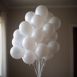 Celebration in White Celebration in White