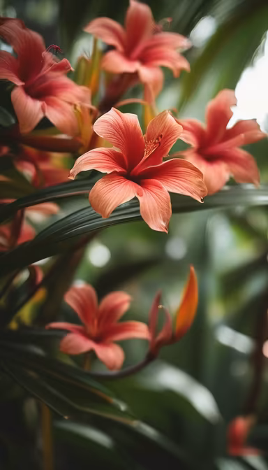 Tropical Bloom Tropical Bloom