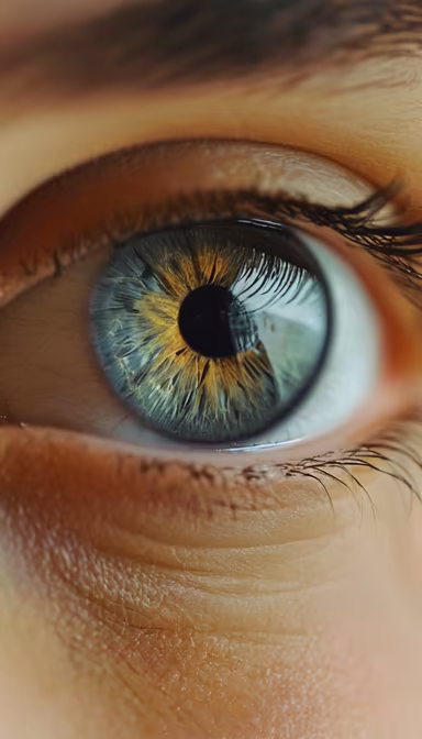 Window to the Soul Window to the Soul
