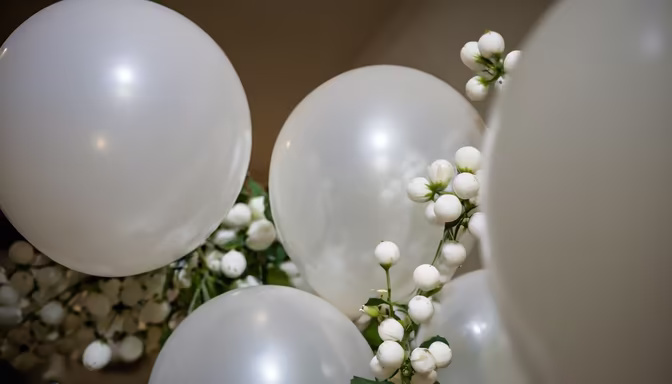 White Celebration