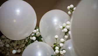 White Celebration White Celebration