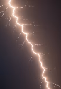 Night Fury Night Fury