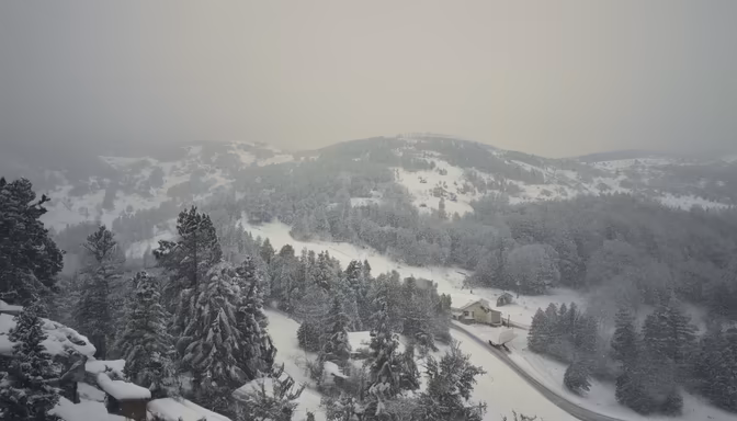 Winter Wonderland