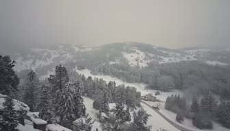Winter Wonderland Winter Wonderland