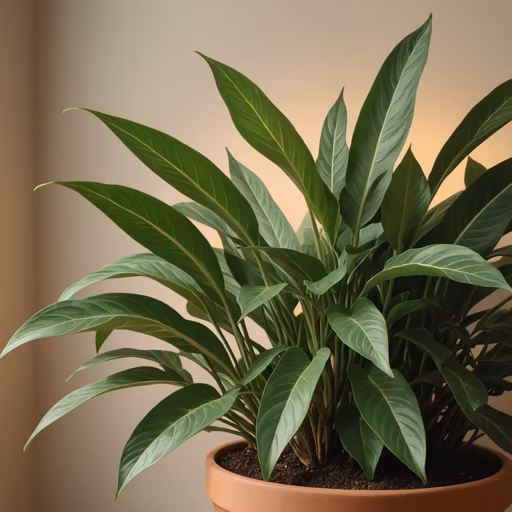 Indoor Oasis