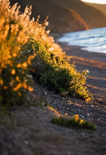 Coastal Serenity Coastal Serenity